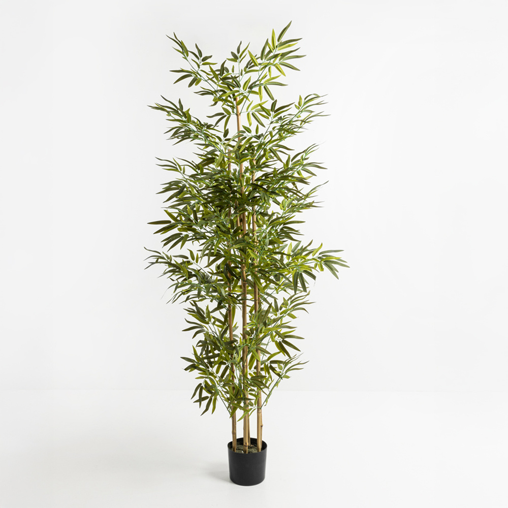 019201-awKKw-first-_1 Bamboo Δεντρο Τεχνητο Σε Γλαστρα 190cm Polyester Πρασινο Pvc - Image 1