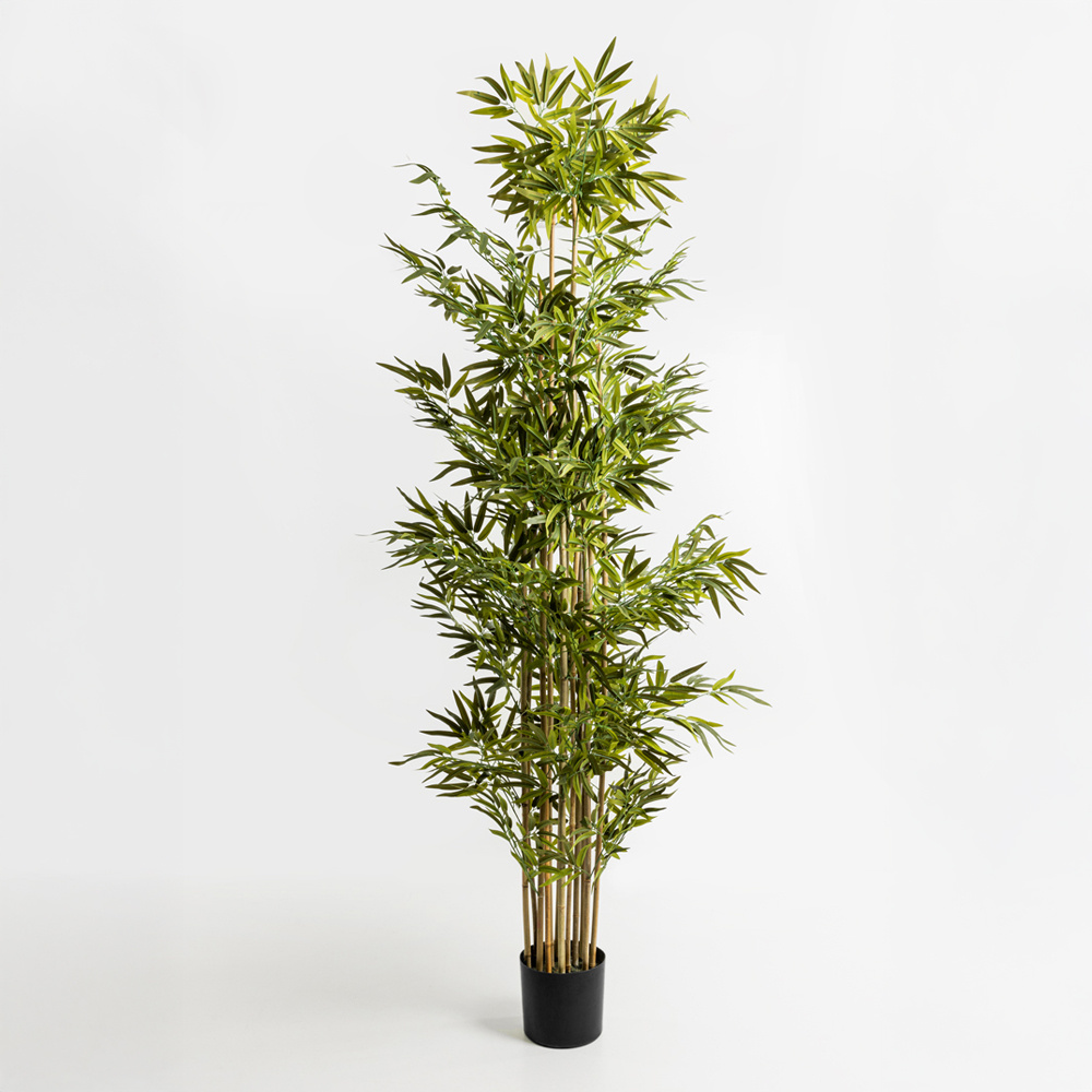 019202-3VDKk-first-_1 Bamboo Δεντρο Τεχνητο Σε Γλαστρα 210cm Polyester Πρασινο Pvc - Image 1