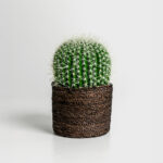 Ferocactus Φυτο Τεχνητο Σε Γλαστρα 18x18x30cm Υφασμα Πρασινο Λευκο Πλαστικο - Image 2