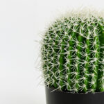 Ferocactus Φυτο Τεχνητο Σε Γλαστρα 18x18x30cm Υφασμα Πρασινο Λευκο Πλαστικο - Image 3