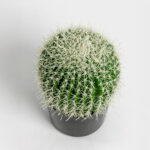 Ferocactus Φυτο Τεχνητο Σε Γλαστρα 18x18x30cm Υφασμα Πρασινο Λευκο Πλαστικο - Image 4