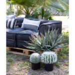 Ferocactus Φυτο Τεχνητο Σε Γλαστρα 25x25x33cm Υφασμα Πρασινο Λευκο Πλαστικο - Image 4