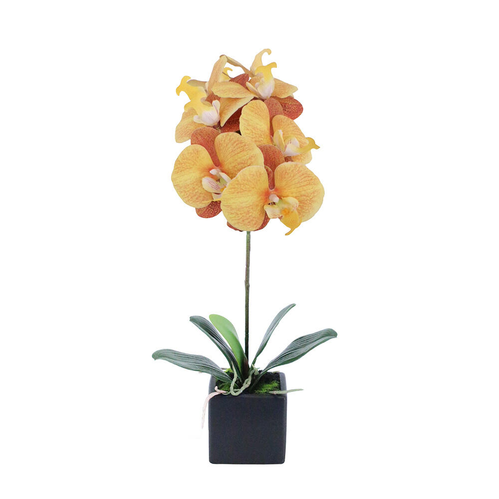 020778-y6u9s-first- Orchidea Λουλουδι Τεχνητο Σε Γλαστρα 63cm Peva Κιτρινο Πορτοκαλι Κεραμικο - Image 1