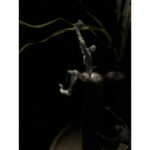 Climber Διακοσμητικο Τοιχου 13x9x23cm Polyresin Μαυρο Χρυσο - Image 2
