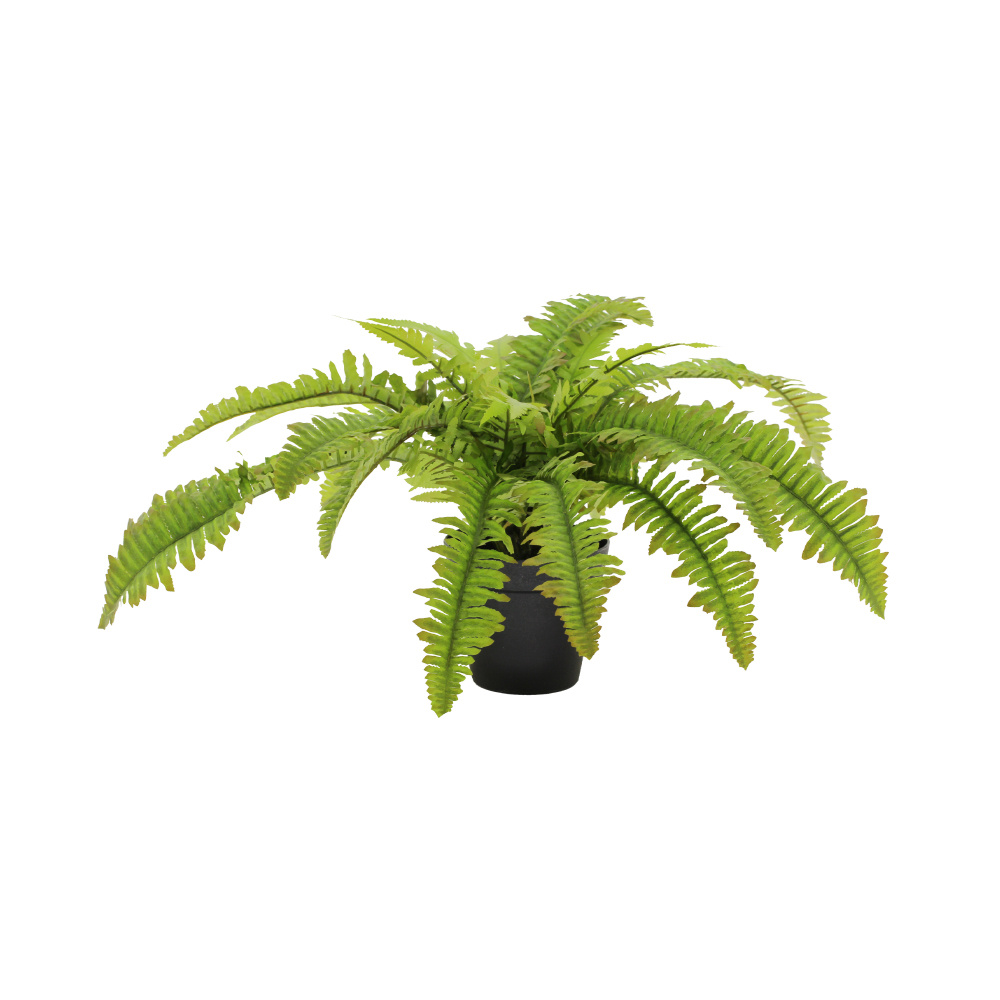 022411-fWkyp-first-_1 Boston Fern Φυτο Τεχνητο Σε Γλαστρα 36cm Polyester Πρασινο Pe/Pp - Image 1