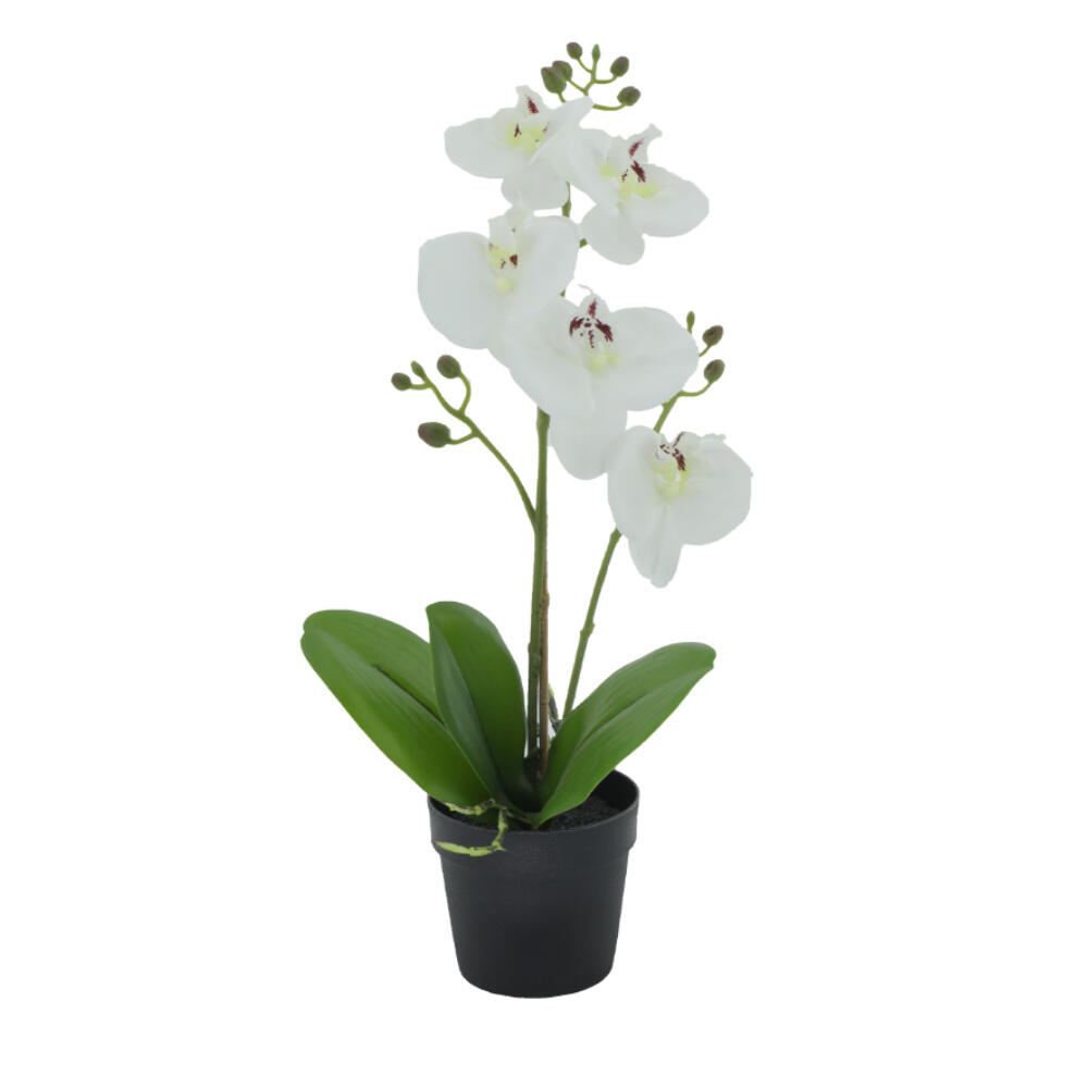 022417-Yi2hz-first-_1 Orchid 3 Φυτο Τεχνητο Σε Γλαστρα 35cm Pe/Pp Λευκο Πρασινο Peva - Image 1