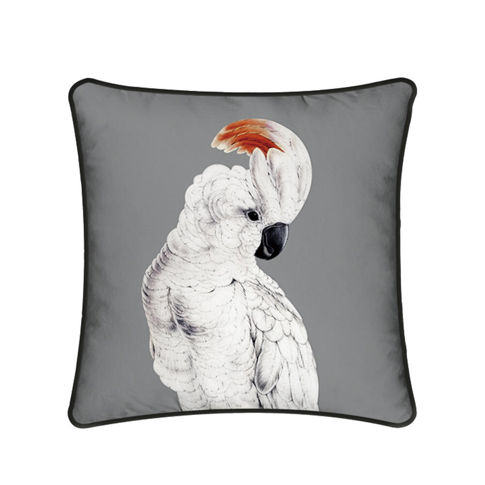 025598-TCzpD-first-_1 Cockatoo Διακοσμητικο Μαξιλαρι 45x45cm Βελουδο Γκρι Λευκο Μαυρο - Image 1