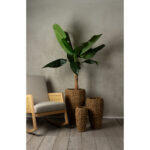 Nerea Tall Γλαστρα Set 3τμχ 43x43x70cm Seagrass Φυσικο Μεταλλο - Image 2