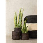 Del Mar Κασπω Set 3τμχ 20x20x18cm Seagrass Μαυρο - Image 2
