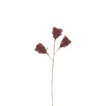 Laurel Woodrose Κλαδι Τεχνητο Με Φτερα 54cm Φτερο Σαπιο Μηλο