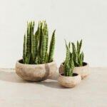 Porter Κασπω Set 3τμχ 40x40x19cm Terracotta Μπεζ - Image 3