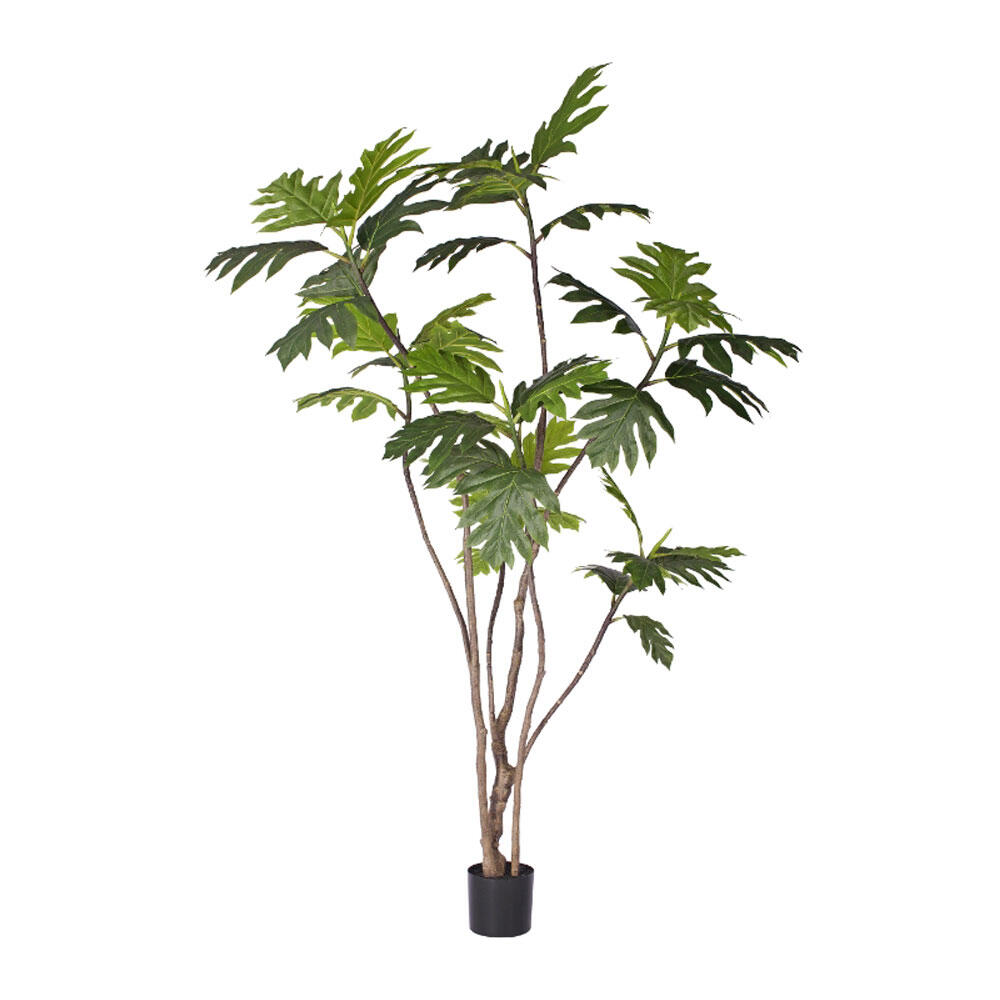 029864-SXolX-first-_1 Breadfruit Tree Δεντρο Τεχνητο Σε Γλαστρα 240cm Pe Πρασινο Μεταξωτο Υφασμα - Image 1