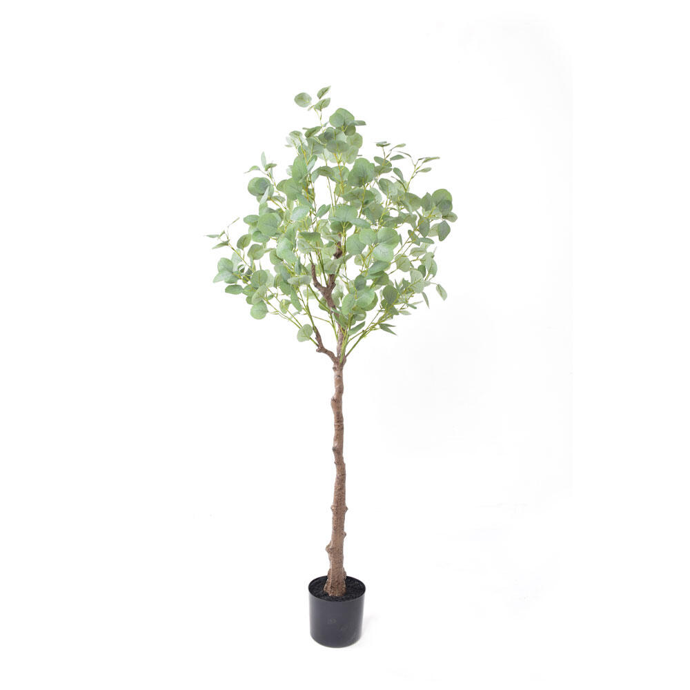 029878-0HjMz-first-_1 Silver Dollar Eucalyptus Δεντρο Τεχνητο Σε Γλαστρα 150cm Pe Πρασινο Μεταξωτο Υφασμα - Image 1