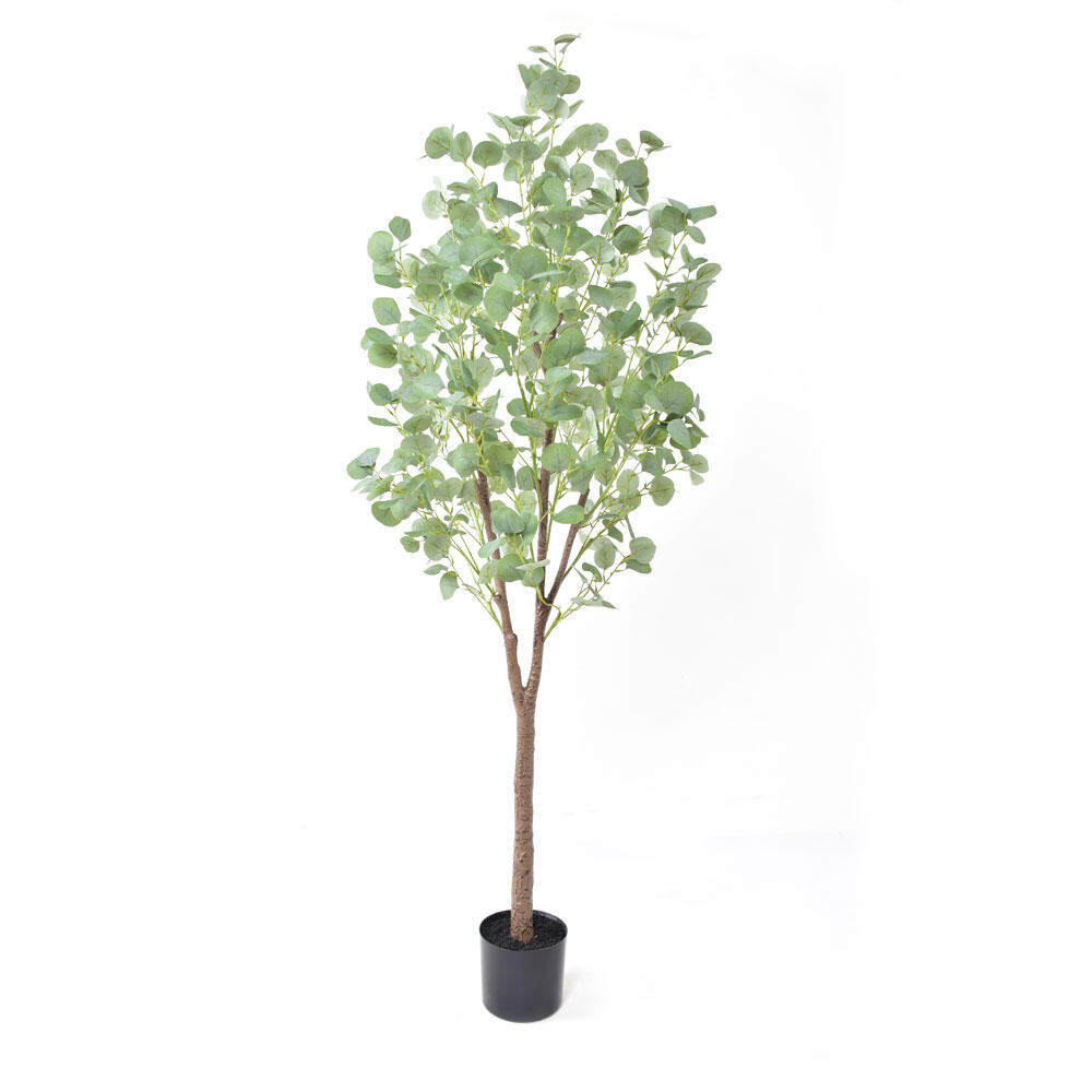 029879-Y3a6A-first-_1 Silver Dollar Eucalyptus Δεντρο Τεχνητο Σε Γλαστρα 180cm Pe Πρασινο Μεταξωτο Υφασμα - Image 1