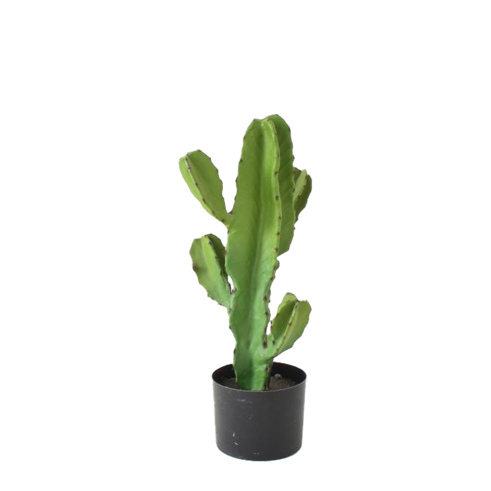 029880-HHoq0-first-_1 Candelabra Cactus Φυτο Τεχνητο Σε Γλαστρα 55cm PU Πρασινο - Image 1