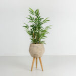 Bamboo Φυτο Τεχνητο Σε Γλαστρα 70cm Polyester Πρασινο Pvc - Image 2