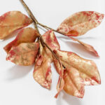 Magnolia Leaves Κλαδι Τεχνητο 74cm Υφασμα Χρυσο Μπορντω Pvc - Image 2