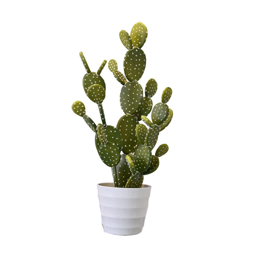 030825-q38sm-first-_1 Rebutia Φυτο Τεχνητο Σε Γλαστρα 67cm Pvc Πρασινο Λευκο Τσιμεντο - Image 1