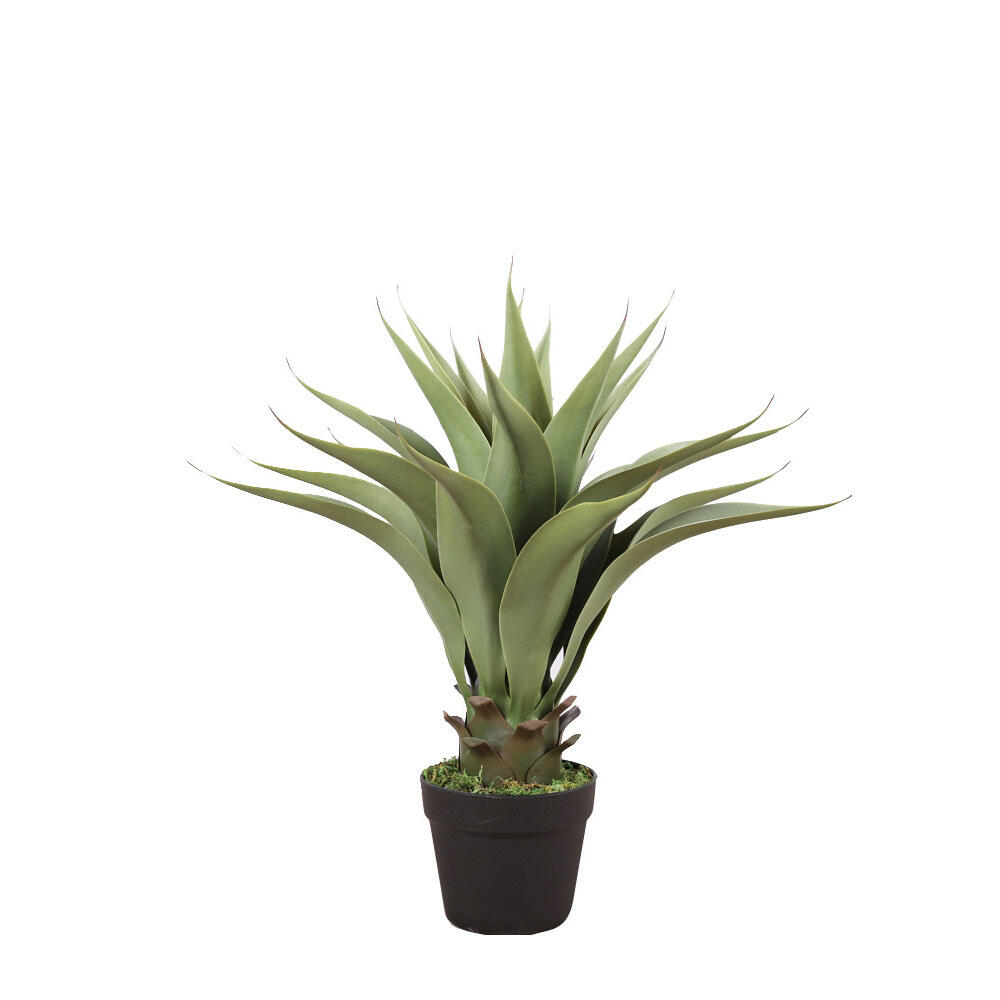030827-XQykw-first-_1 Agave Φυτο Τεχνητο Σε Γλαστρα 55cm Pvc Πρασινο Μαυρο Τσιμεντο - Image 1