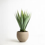 Agave Φυτο Τεχνητο Σε Γλαστρα 58cm Pvc Πρασινο Μαυρο Τσιμεντο - Image 2