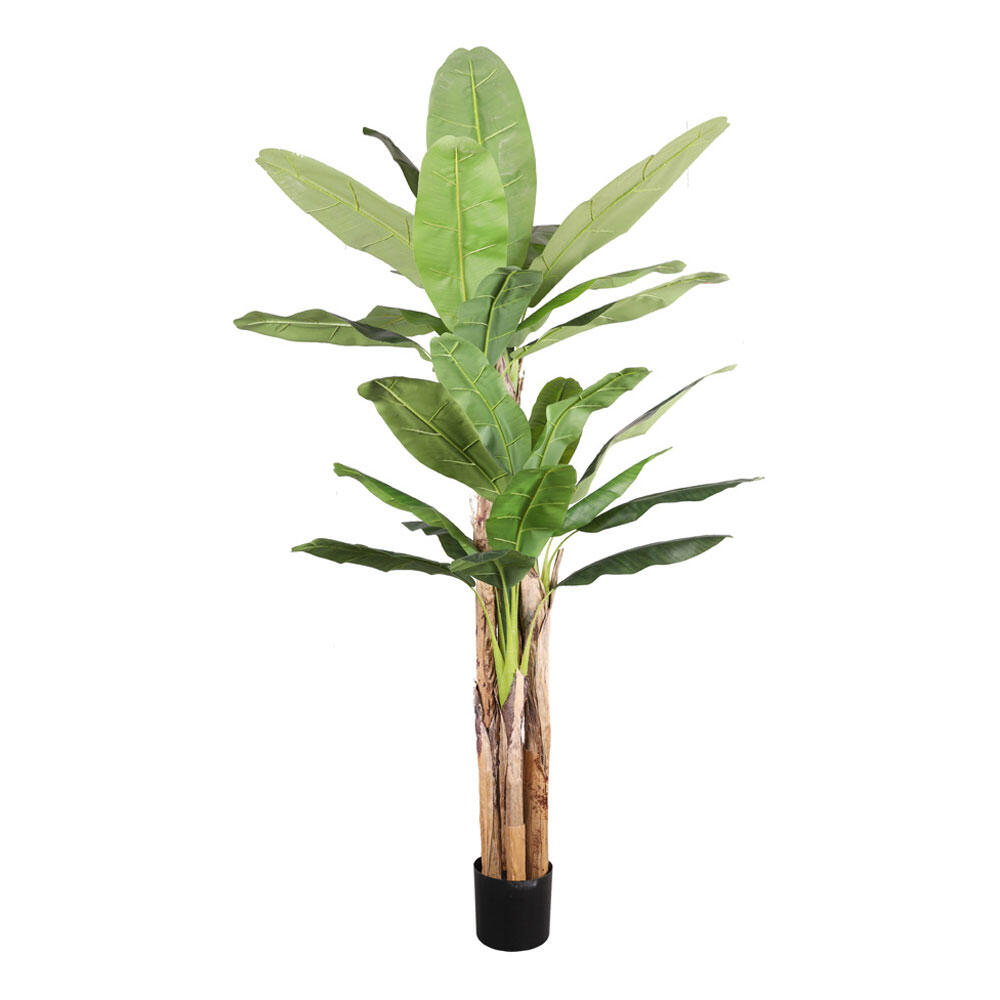030832-nc3JM-first-_1 Banana Δεντρο Τεχνητο Σε Γλαστρα 240cm Pvc Πρασινο Μαυρο Τσιμεντο - Image 1
