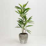 Velvet Tree Δεντρο Τεχνητο Σε Γλαστρα 120cm Pvc Πρασινο Μαυρο Τσιμεντο - Image 2