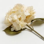 Hydrangea Λουλουδι Τεχνητο 67cm Polyester Μπεζ Πρασινο - Image 3