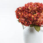 Hydrangea Λουλουδι Τεχνητο 67cm Polyester Μπορντω Κιτρινο Πρασινο - Image 2