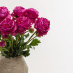 Ranunculus Λουλουδι Τεχνητο 48cm Polyester Φουξια Πρασινο - Image 4