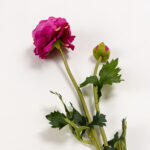 Ranunculus Λουλουδι Τεχνητο 48cm Polyester Φουξια Πρασινο - Image 5