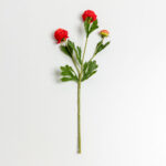 Ranunculus Λουλουδι Τεχνητο 42cm Polyester Κοκκινο Πρασινο Πρασινο