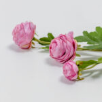 Ranunculus Λουλουδι Τεχνητο 42cm Polyester Ροζ Πρασινο - Image 3