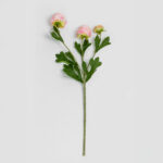 Ranunculus Λουλουδι Τεχνητο 42cm Polyester Σομον Πρασινο