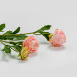 Ranunculus Λουλουδι Τεχνητο 42cm Polyester Σομον Πρασινο - Image 3
