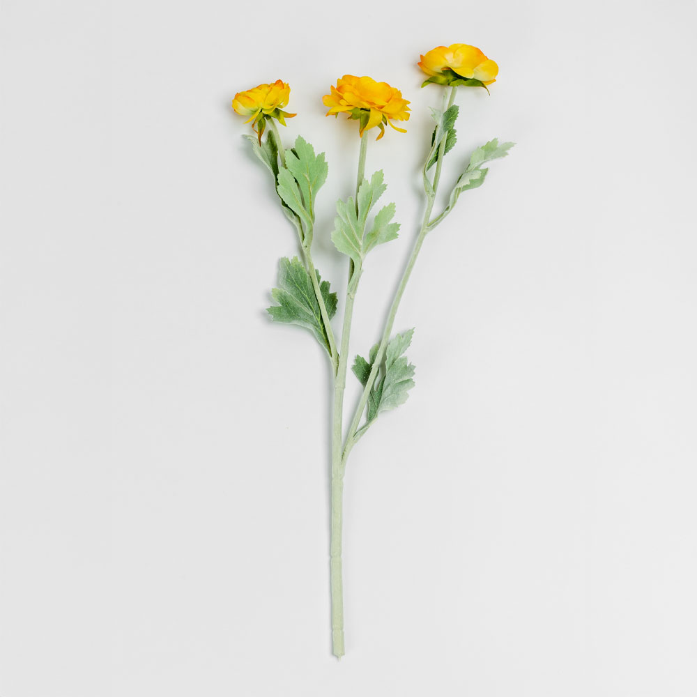 030883-FdviU-first-_1 Ranunculus Λουλουδι Τεχνητο 51cm Polyester Κιτρινο Πρασινο - Image 1