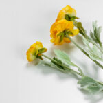 Ranunculus Λουλουδι Τεχνητο 51cm Polyester Κιτρινο Πρασινο - Image 4