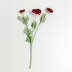 Ranunculus Λουλουδι Τεχνητο 51cm Polyester Μπορντω Πρασινο