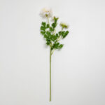 Ranunculus Λουλουδι Τεχνητο 61cm Polyester Λευκο Πρασινο