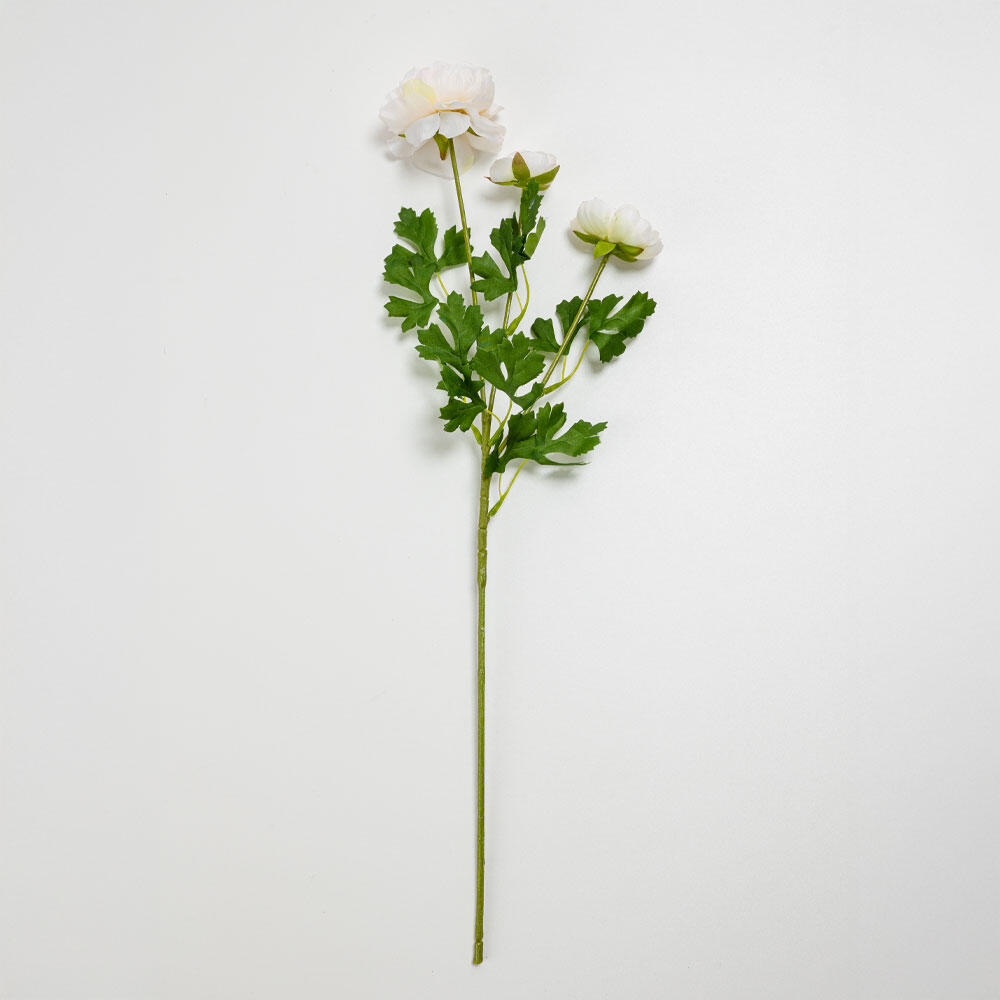 030887-K3qhY-first-_1 Ranunculus Λουλουδι Τεχνητο 61cm Polyester Λευκο Πρασινο - Image 1