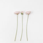 Poppy Λουλουδι Τεχνητο 61cm Polyester Ροζ Ανοιχτο