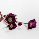 Poppy Λουλουδι Τεχνητο 60cm Polyester Μωβ Πρασινο - Image 5