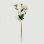 Zinnia Λουλουδι Τεχνητο 62cm Polyester Μπεζ Πρασινο