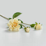 Zinnia Λουλουδι Τεχνητο 62cm Polyester Μπεζ Πρασινο - Image 3
