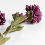 Zinnia Λουλουδι Τεχνητο 52cm Polyester Μωβ Πρασινο - Image 5