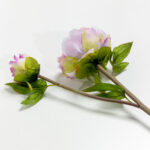 Half Moon Peony Λουλουδι Τεχνητο 43cm Polyester Λιλα Λευκο Πρασινο - Image 4