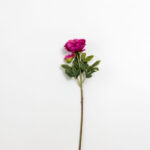 Kate Peony Λουλουδι Τεχνητο 67cm Polyester Φουξια Πρασινο