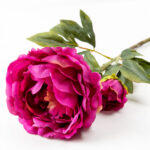 Kate Peony Λουλουδι Τεχνητο 67cm Polyester Φουξια Πρασινο - Image 3