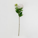 Peony Λουλουδι Τεχνητο 67cm Polyester Λευκο Ροζ Πρασινο