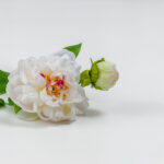 Peony Λουλουδι Τεχνητο 67cm Polyester Λευκο Ροζ Πρασινο - Image 3