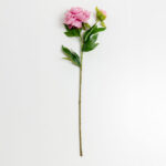 Peony Λουλουδι Τεχνητο 67cm Polyester Ροζ Πρασινο